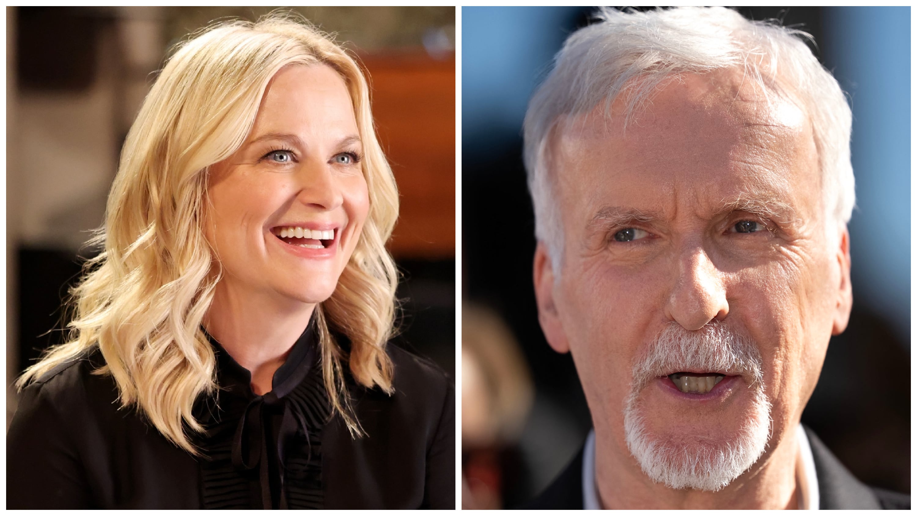 James Cameron Blasts Amy Poehler Joke That Went ‘Too Far’